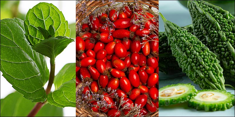 Hemoglutrix Blood Sugar Gummies Ingredients