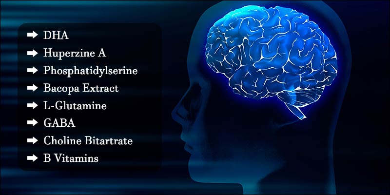 Stonehenge Health Dynamic Brain Ingredients
