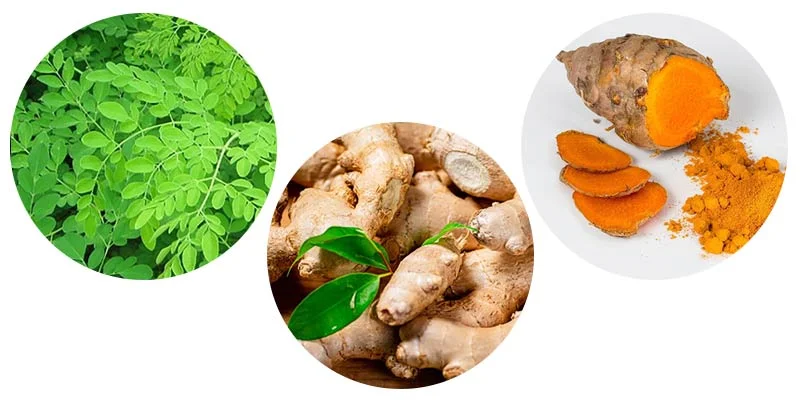 Alpilean Weight Loss Ingredients