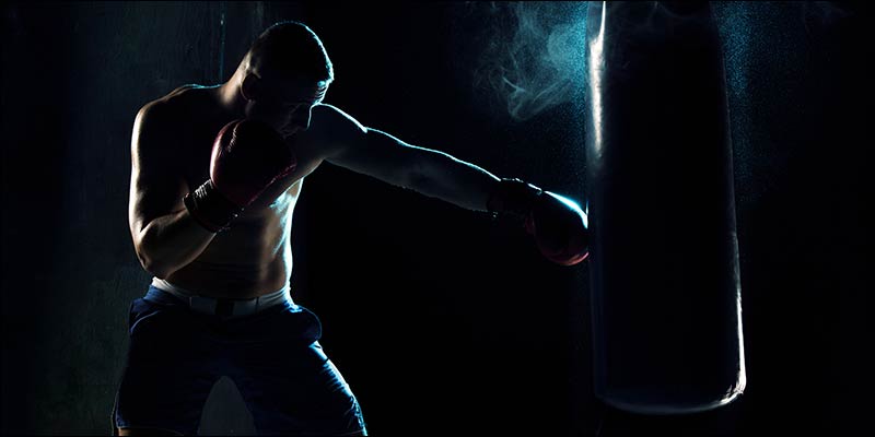 Mario Lopez Martial Arts and Boxing