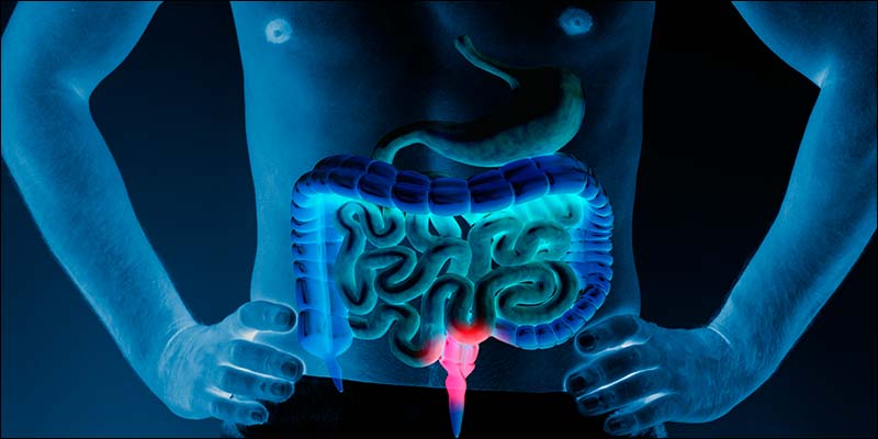 Spring Valley Probiotic Multi-Enzyme Benefits