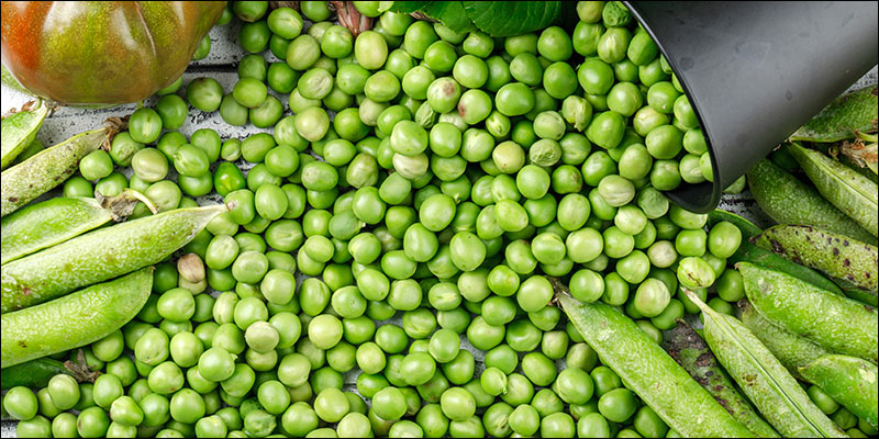 Green Peas