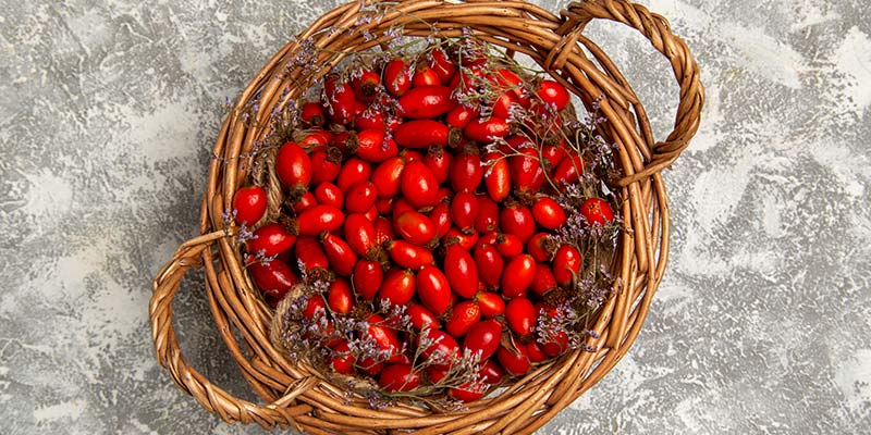 Berberine Weight Loss Reviews