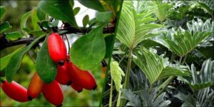 Factors That Accelerate—or Undermine—Results