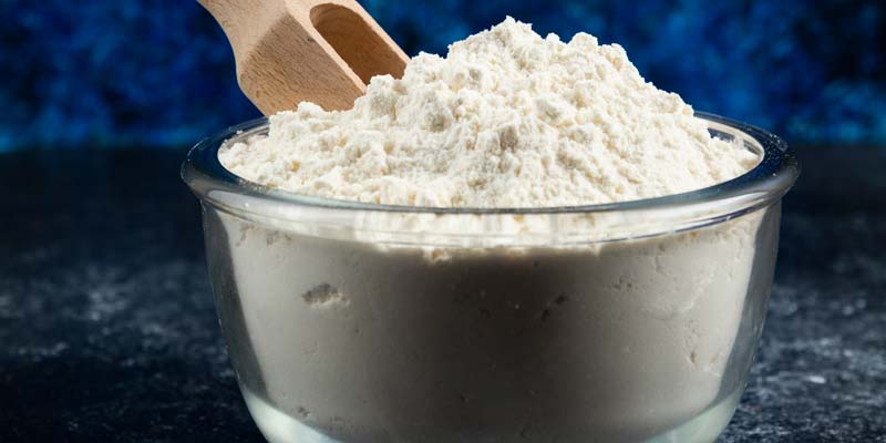 Best Protein Powder for Weight Loss