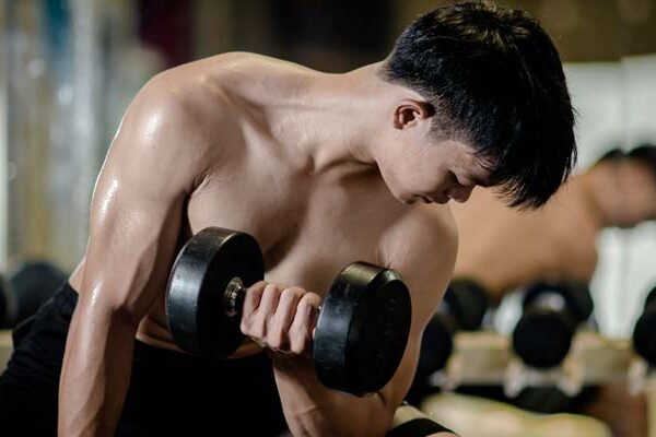 Chest Shoulder Tricep Workout